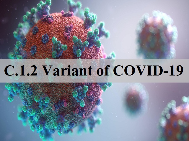 What is C.1.2 variant of COVID-19?