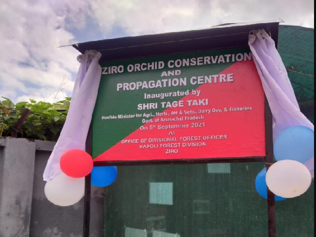 Orchids conservation center in Ziro