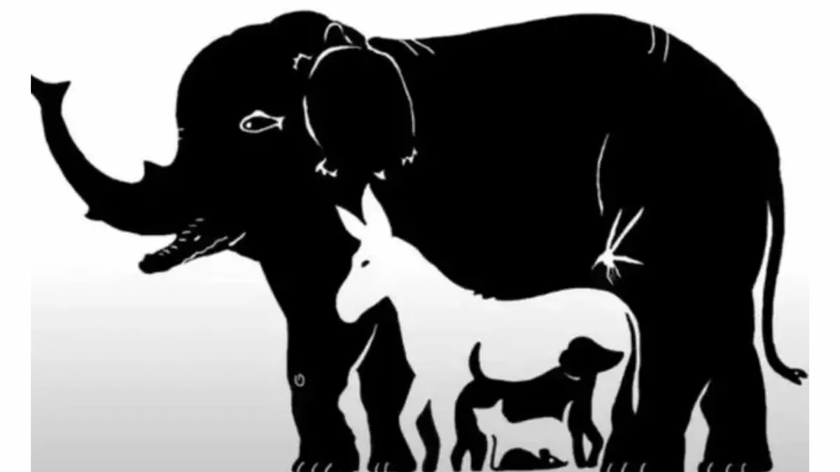 Optical Illusion: How many animals can you see? | इस तस्वीर में हैं 13 जानवर, खोजो तो जानें!