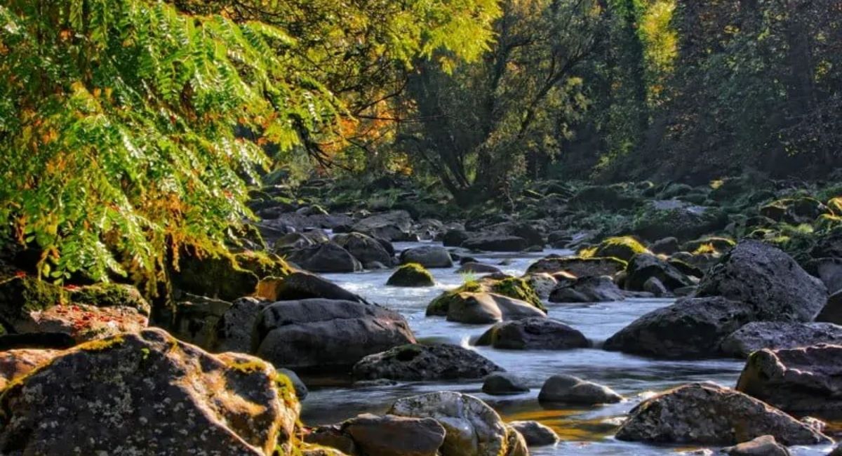 Earth Day 2022: जलवायु परिवर्तन ने हमारे ग्रह को कैसे प्रभावित किया, जानें सबकुछ