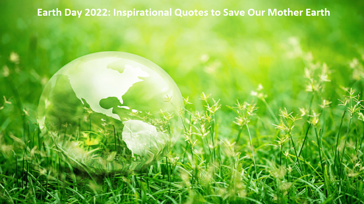 31 Inspirational Quotes to Save Our Mom Earth