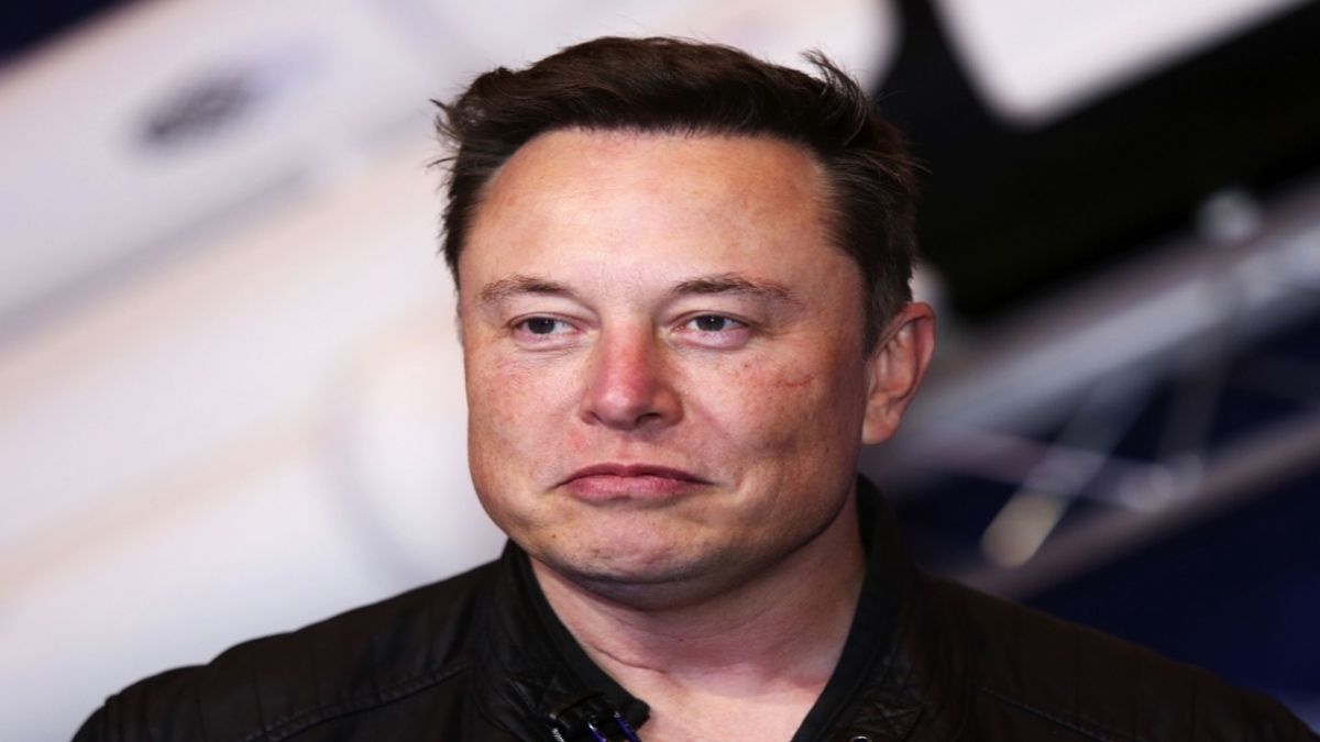 elon musk twitter