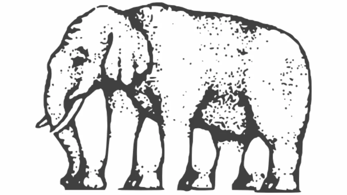 Optical Illusion: How many legs does the elephant have? | Shephard Elephant Illusion Explained