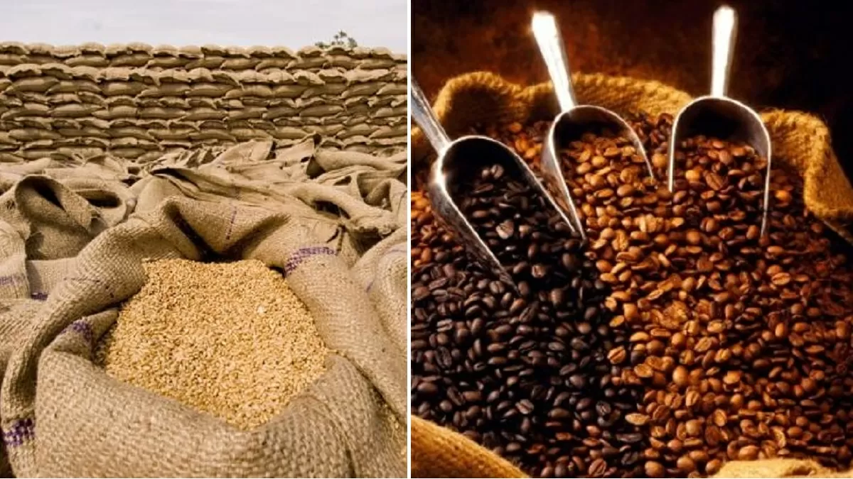 India's Agriculture exports touch milestone of $50 bn in FY22