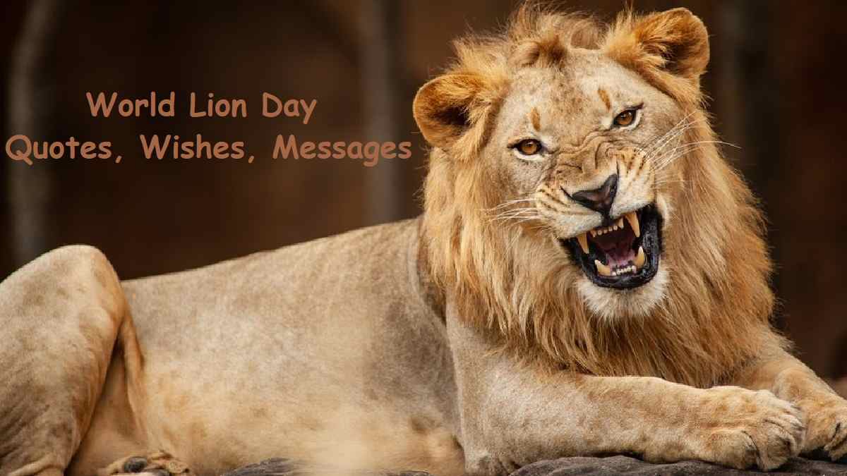 World Lion Day 2022 Quotes, wishes, messages to celebrate king of the
