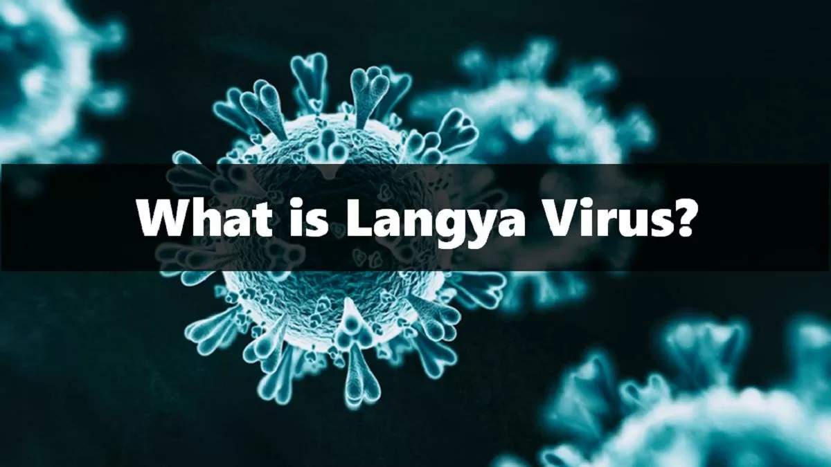 What is Langya Virus? Know Symptoms and How deadly it is?