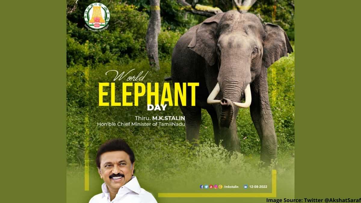 Tamil Nadu gets its 5th Elephant Reserve at Agathiyamalai, Get Details Here