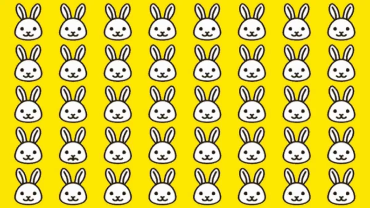 Can you find out Odd Rabbit in the Image within 5 seconds?