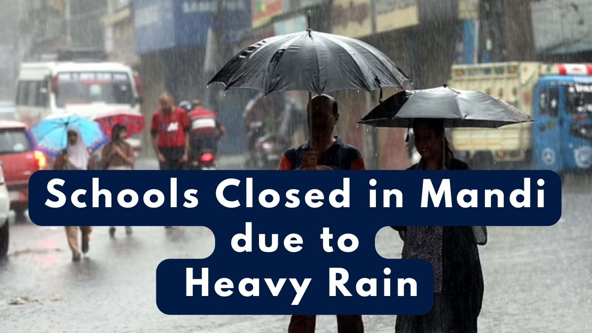 HP Rain Alert: Mandi Schools Closed