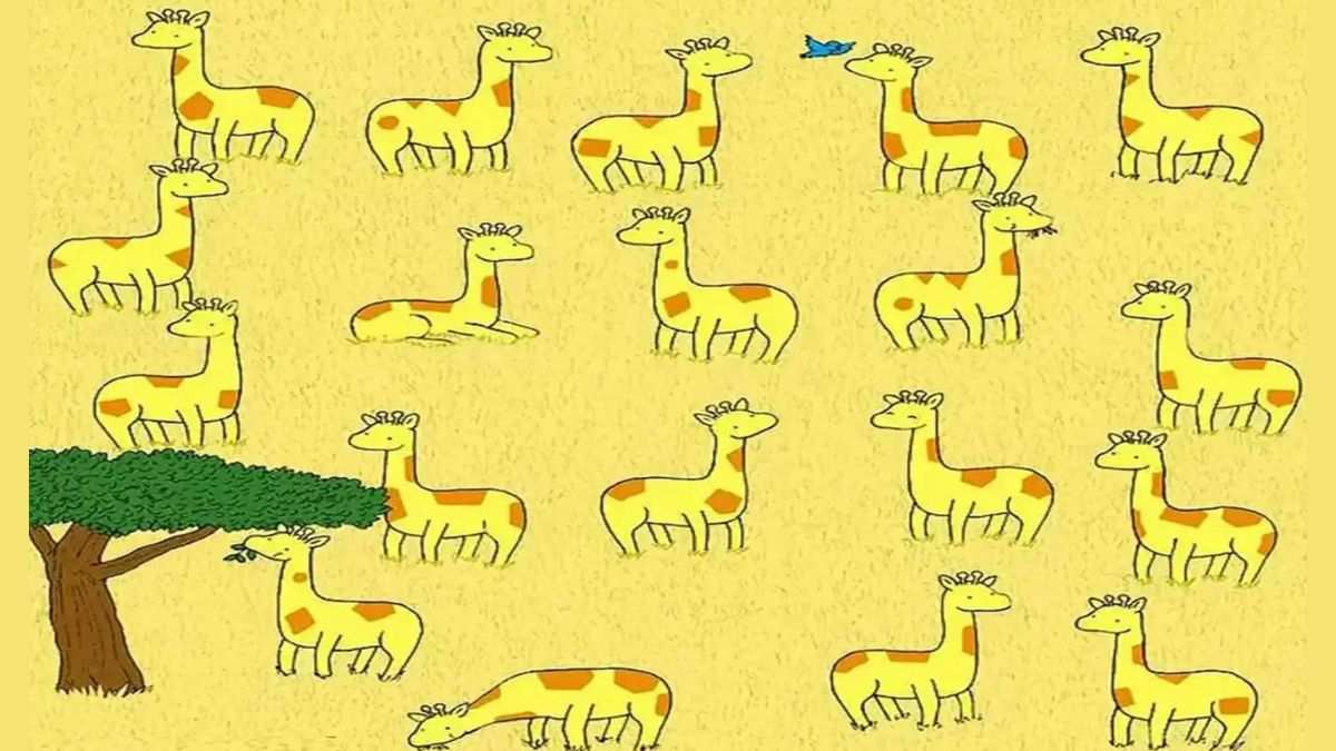 Can you spot the giraffe with no twin within 25 seconds?