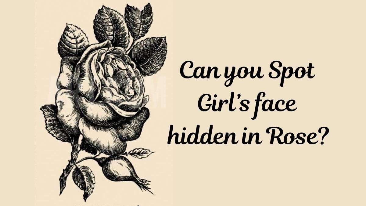 1880s Vintage Optical Illusion To Test Your Brain Can You Spot The 1880s Vintage Optical Illusion To Test Your Brain Can You Spot The