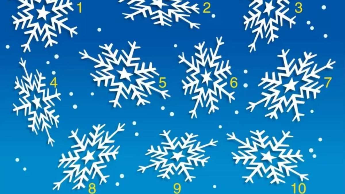 Brain Teaser Picture Puzzle: Can you find out the Odd Snowflake in 9 seconds?