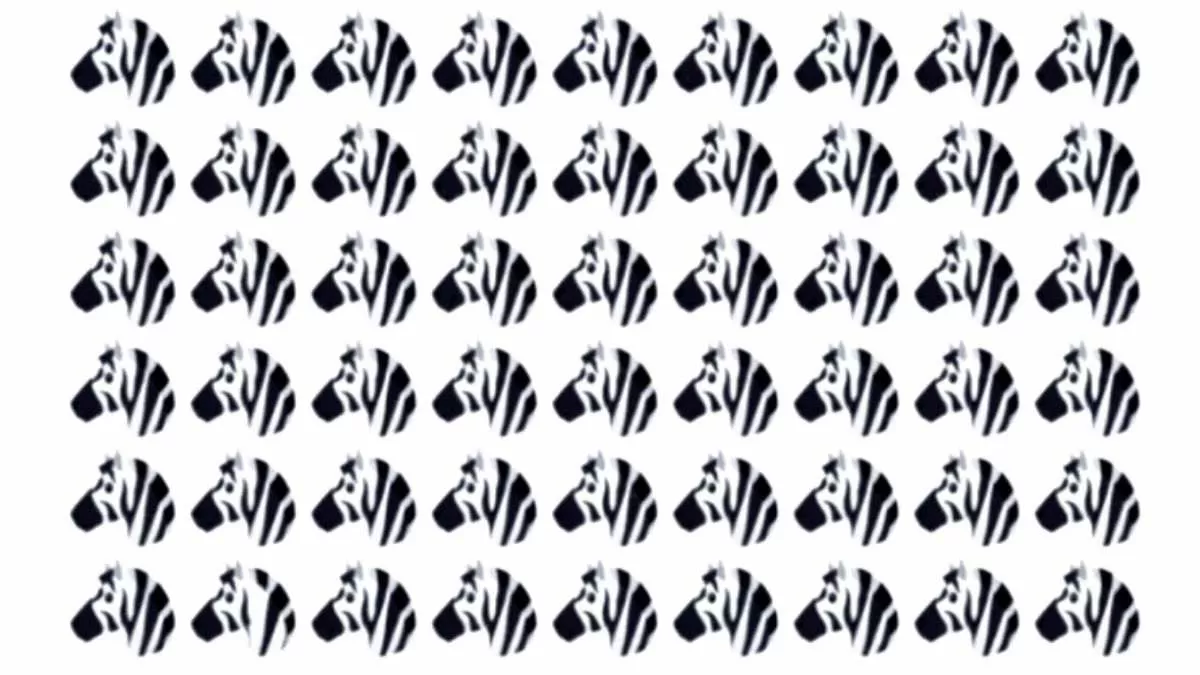 Can you find Odd One Out among Zebras in 10 seconds?