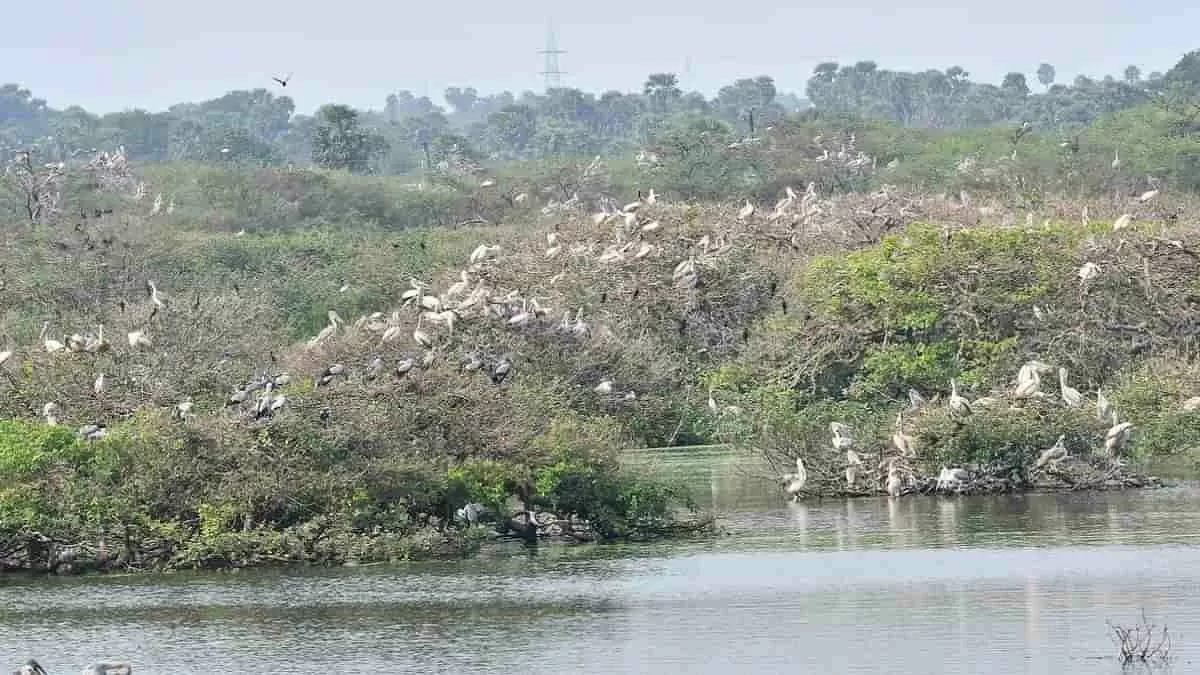 Ramsar Sites In India 2022 India Adds 10 New Wetlands Check Full List Of New Ramsar Sites In India 7523