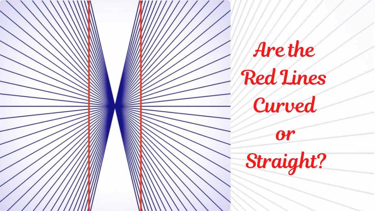 Visual Optical Illusion Test: Are the Red Lines Straight or Curved?