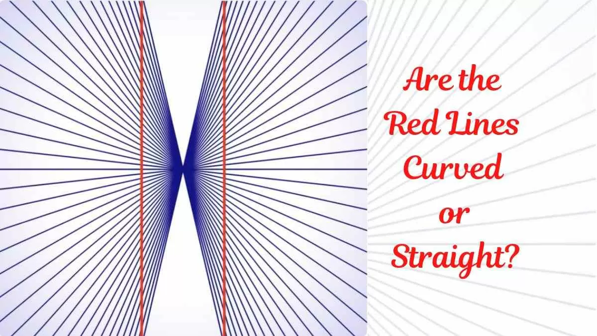 Visual Optical Illusion Test: Are the Red Lines Straight or Curved?