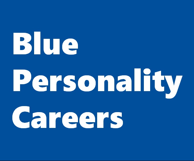 Blue Personality Career Test