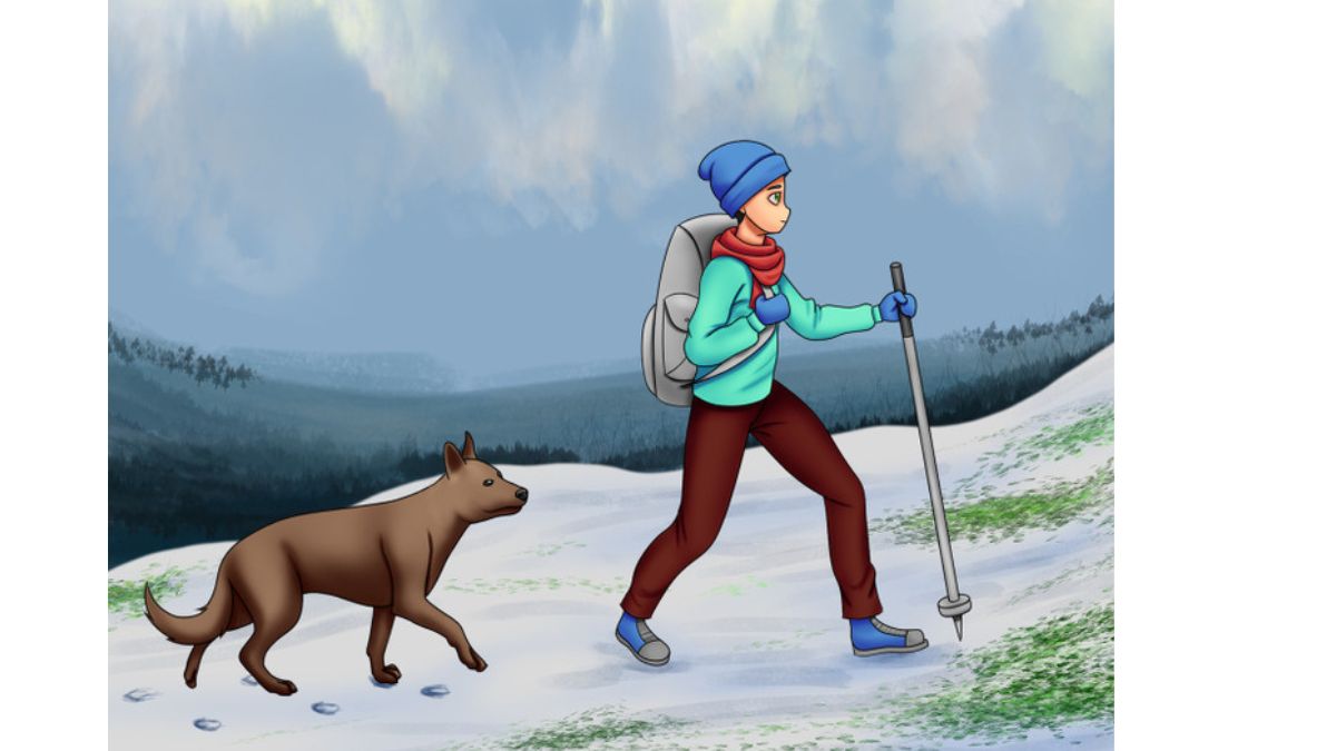 Brain Teaser: Only 10% of Genius can spot the mistake in this Snow Hiking picture puzzle. Try it!