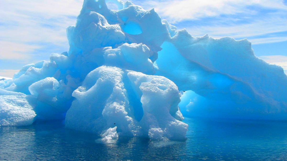 What Is The Difference Between The Arctic And Antarctic?