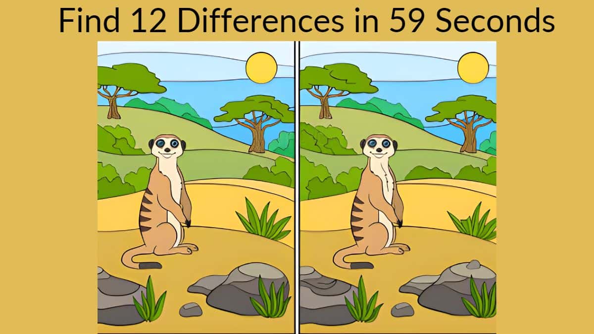 Find 12 Differences in 59 Seconds