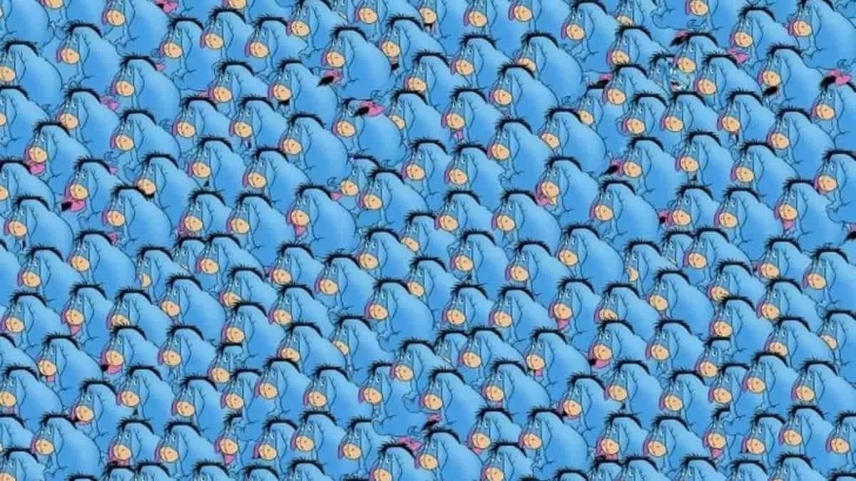 Find Genie in 11 Seconds