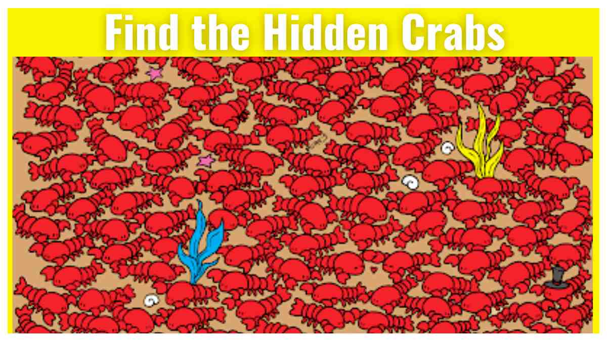 Brain Teaser: You Have Eagle Eyes If You Can Find The Hidden Crabs  In 16 Seconds. 