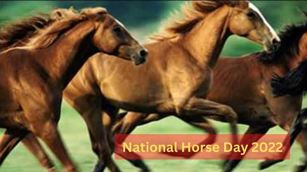 National Horse Day 2022 Date, Theme, History, Significance