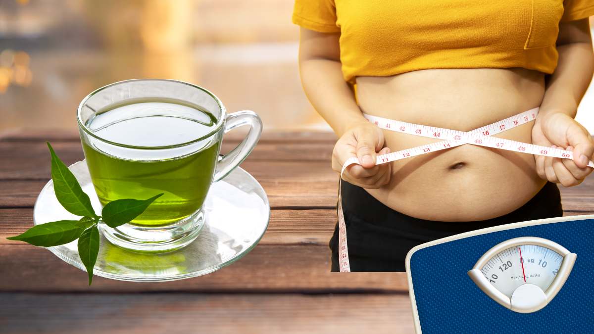 Myth or Reality: Green Tea Helps Burn Body Fat and Lose Weight