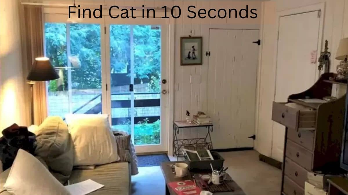 You have the eyes of a hawk if you can find a cat in this optical illusion picture within 10 seconds