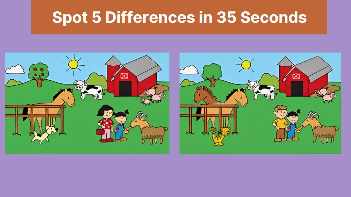 Spot The Difference: Can you spot 5 differences between the two images in  13 seconds?