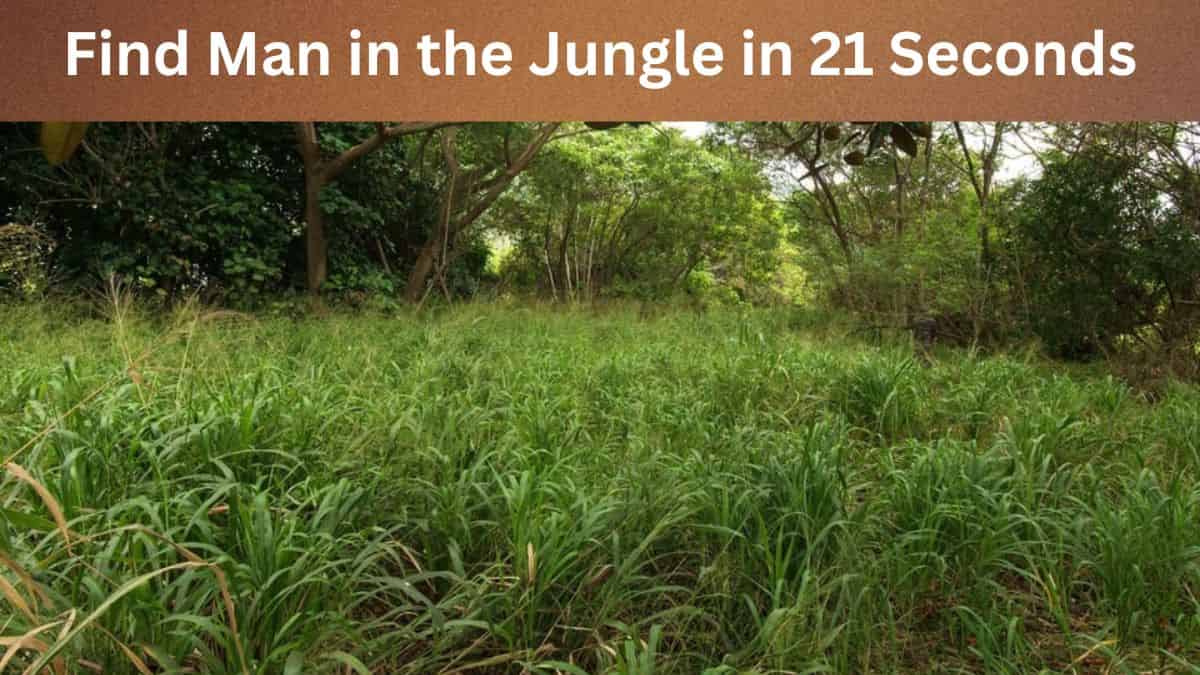 optical-illusion-can-you-find-a-man-in-the-jungle-within-21-seconds