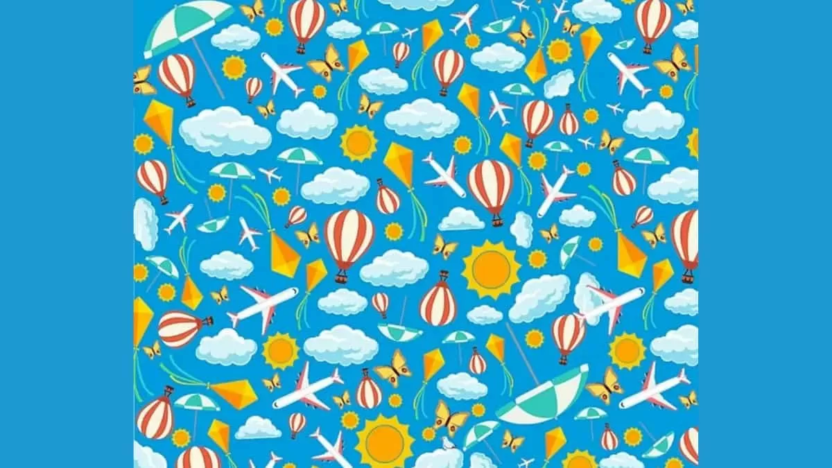 Find Bird in 9 Seconds