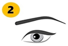 Thin Eyebrow Personality Traits