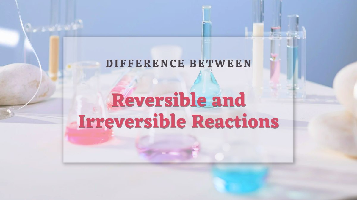 What Is The Difference Between Reversible and Irreversible Reaction?