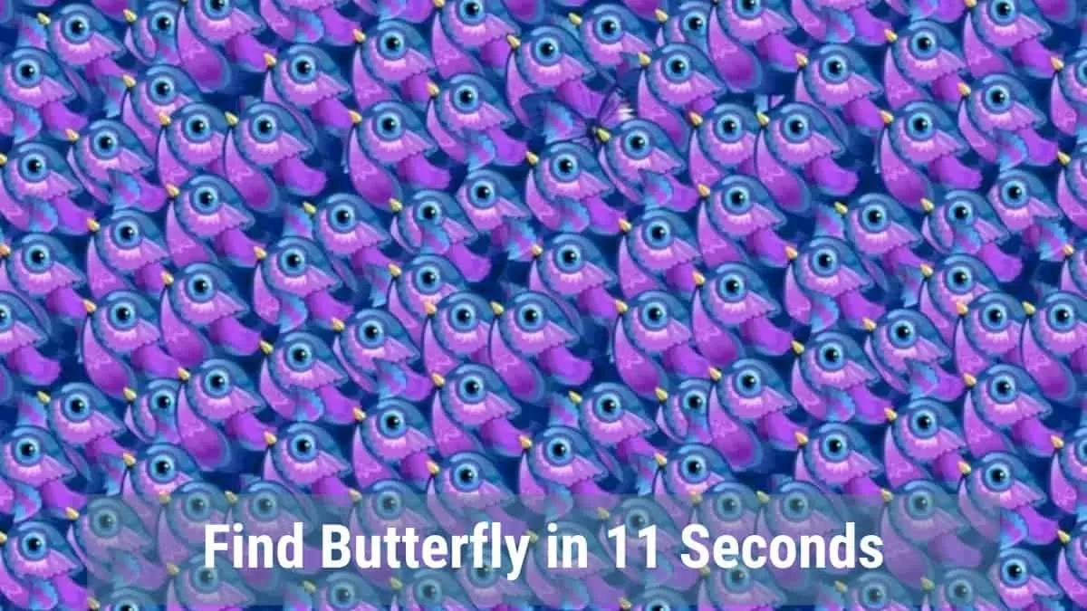Find Butterfly in 11 Seconds