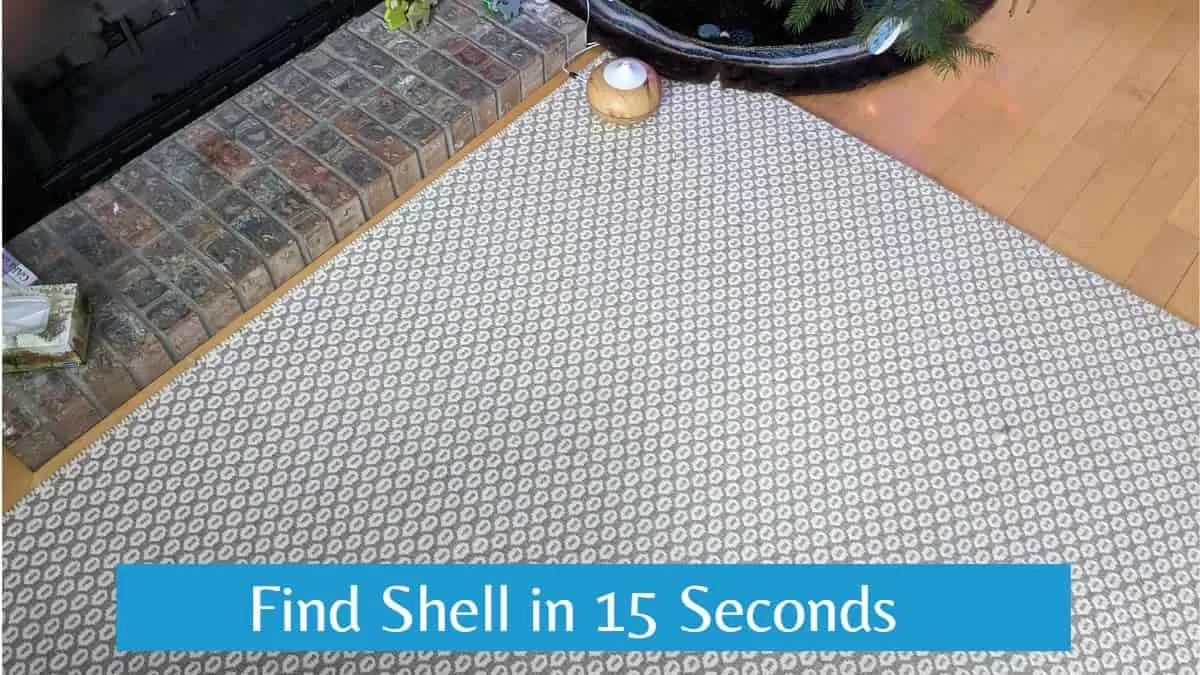 Find Shell in 15 Seconds