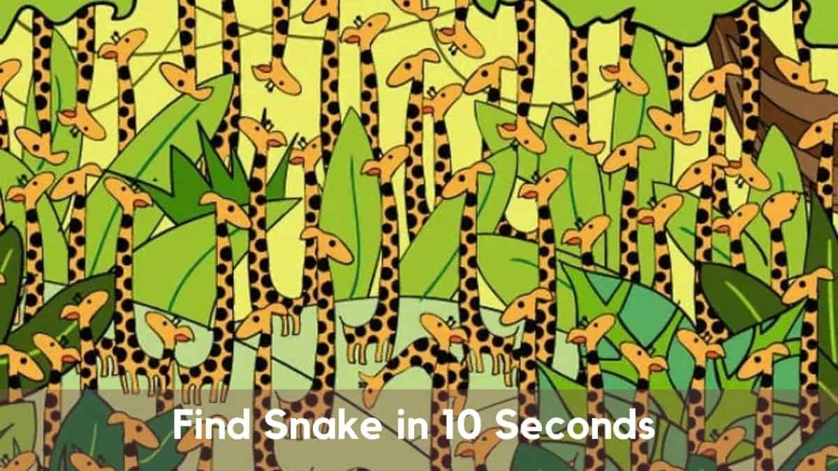Find Snake in 10 Seconds