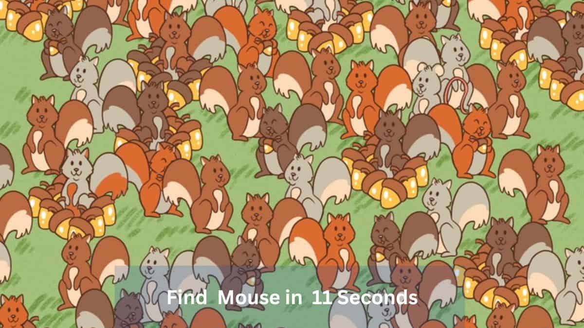 Find Mouse in 11 Seconds