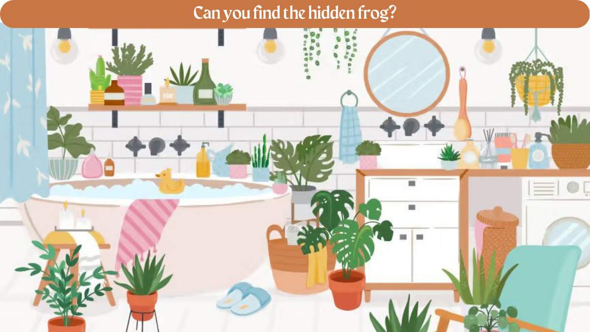 Brain Teaser IQ Test: Only 1 Out Of 11 People Can Find The Hidden Frog In The Bathroom In 8 Seconds. Can You?