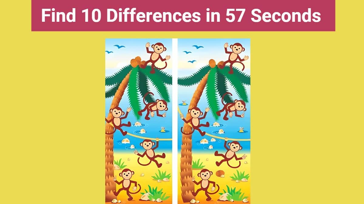 Spot 10 Differences in 57 Seconds