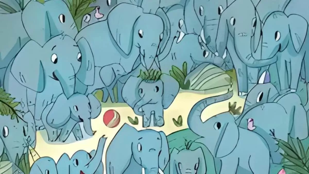 Find Rhino in 9 Seconds