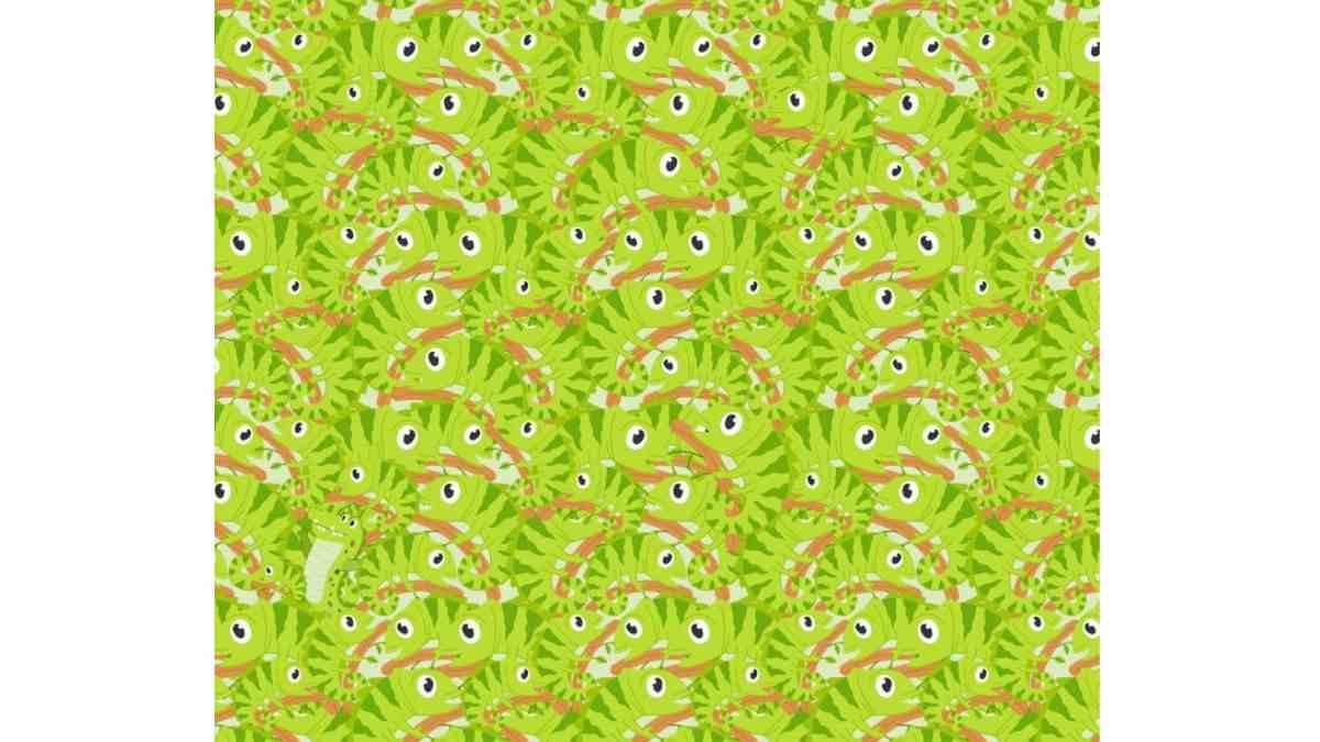 Can you find the crocodile hidden in the camp of chameleons