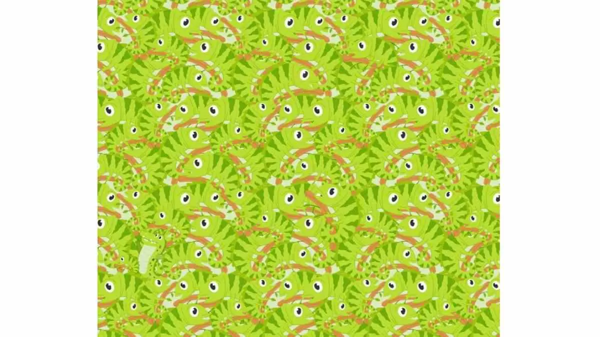 Can you find the crocodile hidden in the camp of chameleons