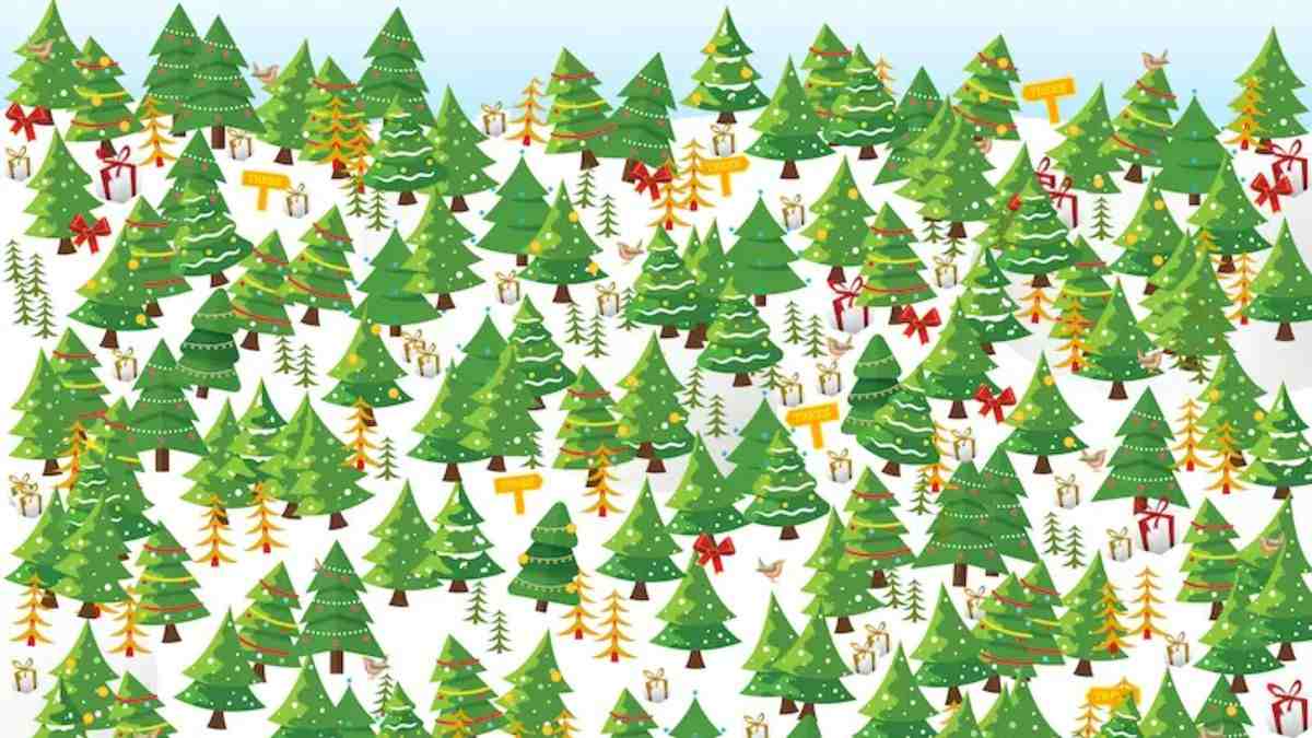 Optical Illusion for Testing Your IQ