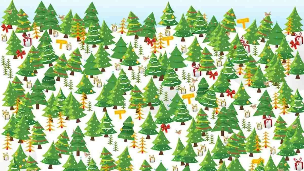 Optical Illusion for Testing Your IQ Only 2 can spot Star hidden on Optical Illusion for Testing Your IQ Only 2 can spot Star hidden on