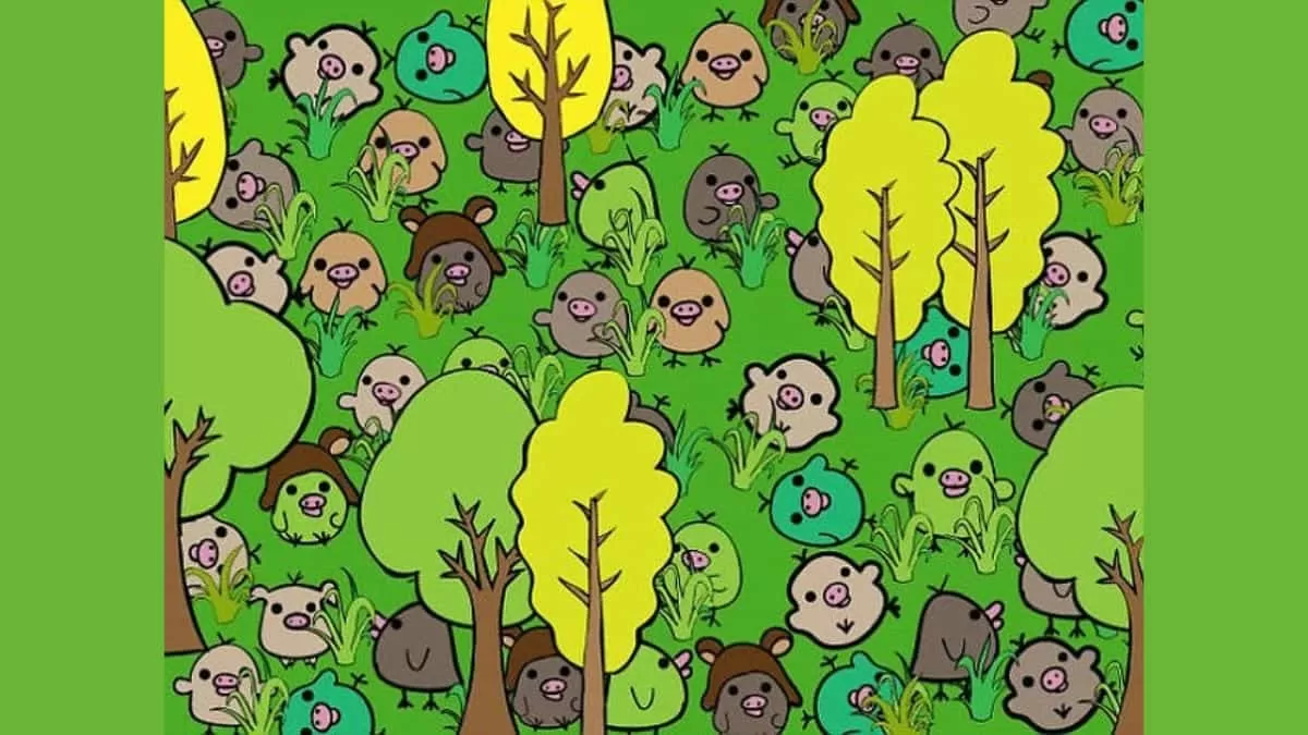 Find Pig Among Birds in 15 Seconds