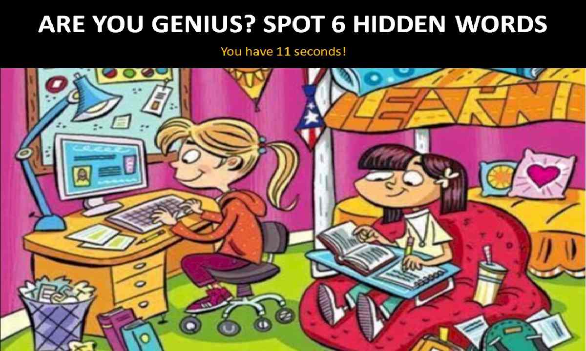 Picture Puzzle Test Your Intelligence Level 1 Genius Can Spot All 6