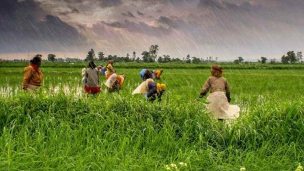National Farmers Day 2022