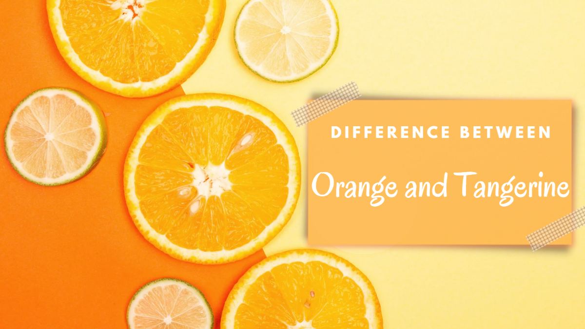 What Is The Difference Between Orange And Tangerine? 