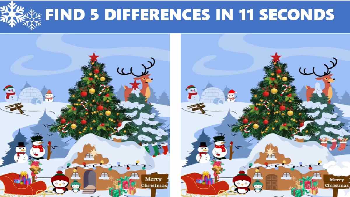Picture Puzzle: Spot 5 Differences In This Christmas Picture In 11 Seconds, Check Concentration Power